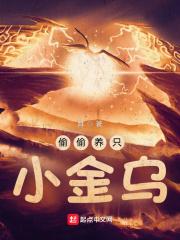 偷偷养只小金乌女主几个